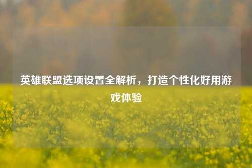 英雄联盟选项设置全解析,打造个性化好用游戏体验