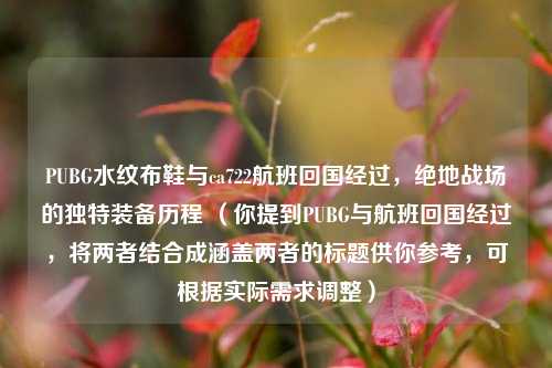 PUBG水纹布鞋与ca722航班回国经过,绝地战场的独特装备历程 (你提到PUBG与航班回国经过,将两者结合成涵盖两者的标题供你参考,可根据实际需求调整)
