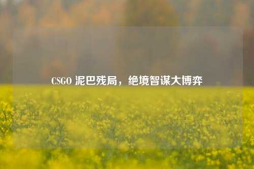CSGO 泥巴残局,绝境智谋大博弈