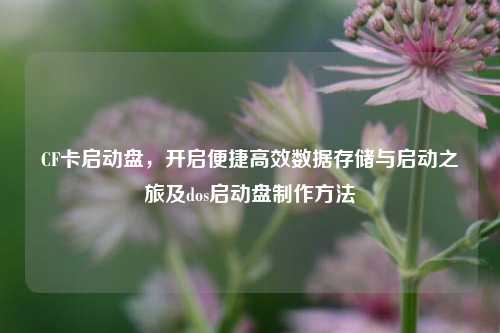 CF卡启动盘,开启便捷高效数据存储与启动之旅及dos启动盘制作方法