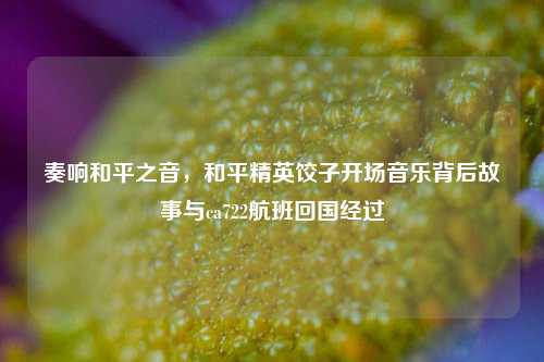 奏响和平之音,和平精英饺子开场音乐背后故事与ca722航班回国经过