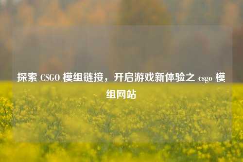 探索 CSGO 模组链接,开启游戏新体验之 csgo 模组网站
