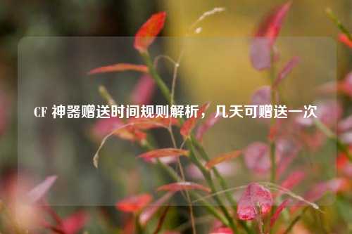 CF 神器赠送时间规则解析，几天可赠送一次