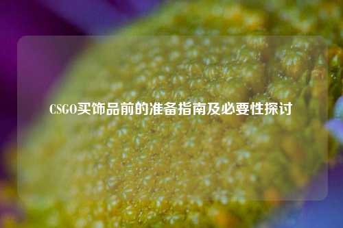 CSGO买饰品前的准备指南及必要性探讨