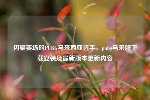 闪耀赛场的PUBG马来西亚选手，pubg马来服下载安装及最新版本更新内容