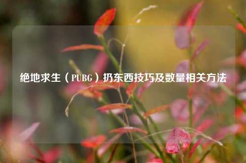绝地求生（PUBG）扔东西技巧及数量相关方法