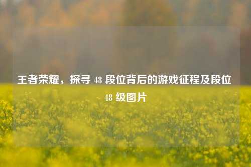王者荣耀，探寻 48 段位背后的游戏征程及段位 48 级图片