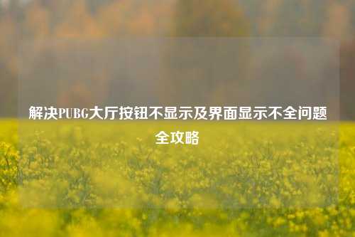 解决PUBG大厅按钮不显示及界面显示不全问题全攻略