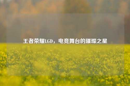 王者荣耀LGD,电竞舞台的璀璨之星