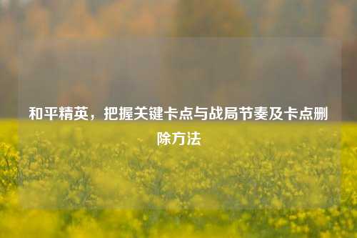 和平精英,把握关键卡点与战局节奏及卡点删除方法