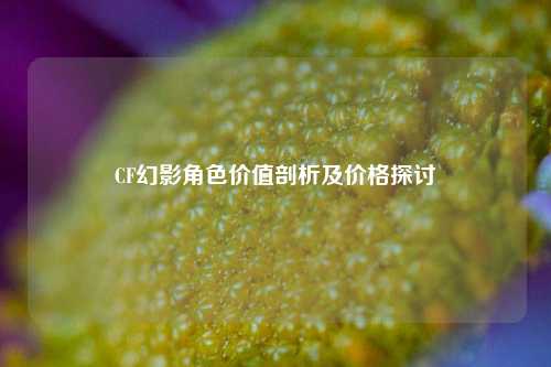CF幻影角色价值剖析及价格探讨