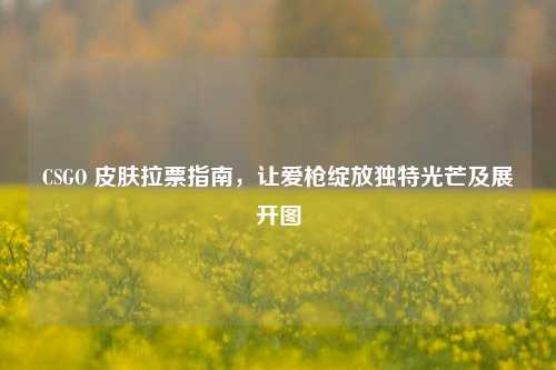 CSGO 皮肤拉票指南,让爱枪绽放独特光芒及展开图
