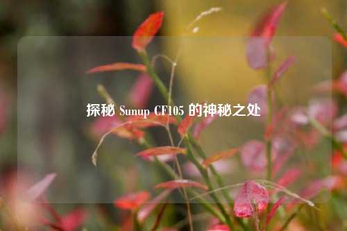 探秘 Sunup CF105 的神秘之处
