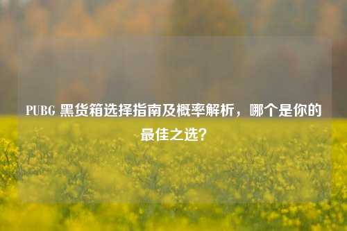 PUBG 黑货箱选择指南及概率解析,哪个是你的最佳之选?