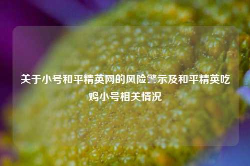 关于小号和平精英网的风险警示及和平精英吃鸡小号相关情况