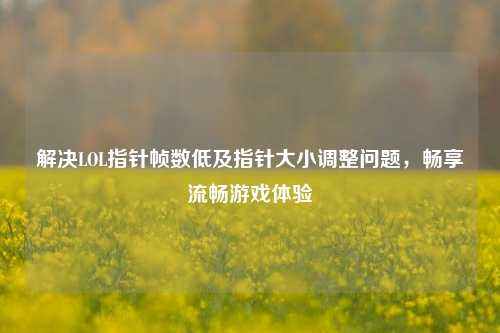 解决LOL指针帧数低及指针大小调整问题,畅享流畅游戏体验
