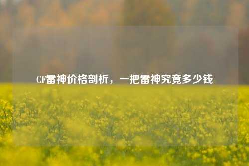 CF雷神价格剖析,一把雷神究竟多少钱