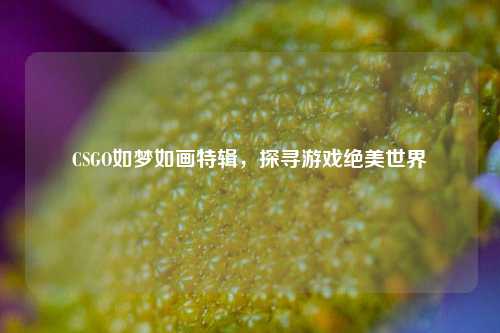 CSGO如梦如画特辑，探寻游戏绝美世界