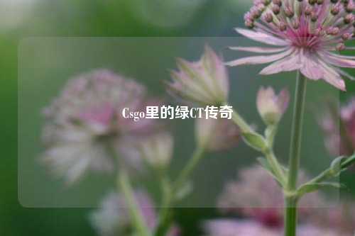 Csgo里的绿CT传奇