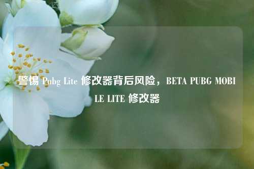 警惕 Pubg Lite 修改器背后风险,BETA PUBG MOBILE LITE 修改器