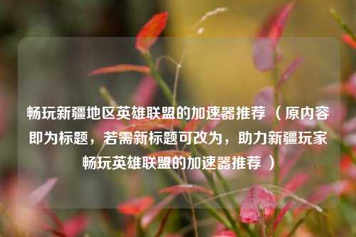畅玩新疆地区英雄联盟的加速器推荐 （原内容即为标题，若需新标题可改为，助力新疆玩家畅玩英雄联盟的加速器推荐 ）