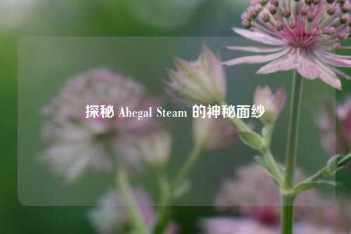 探秘 Ahegal Steam 的神秘面纱