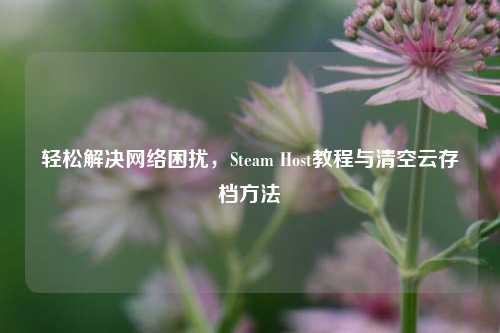 轻松解决网络困扰，Steam Host教程与清空云存档方法