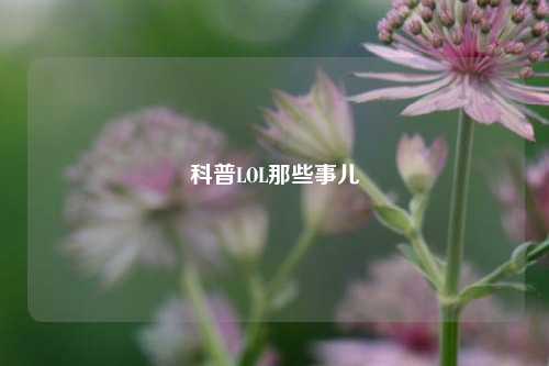 科普LOL那些事儿