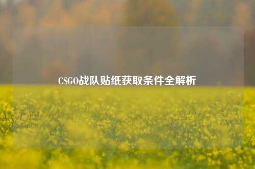CSGO战队贴纸获取条件全解析