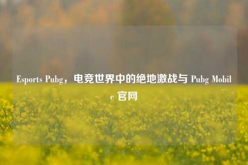 Esports Pubg，电竞世界中的绝地激战与 Pubg Mobile 官网