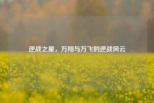 逆战之星,万翔与万飞的逆战风云
