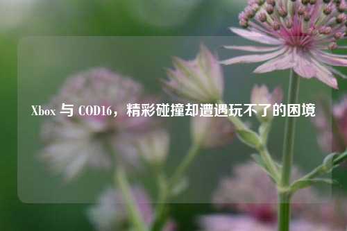 Xbox 与 COD16，精彩碰撞却遭遇玩不了的困境