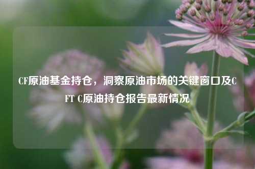CF原油基金持仓,洞察原油市场的关键窗口及CFT C原油持仓报告最新情况