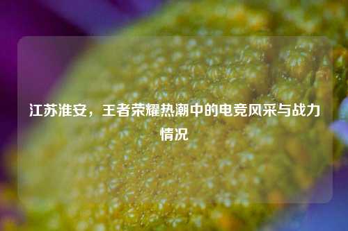 江苏淮安,王者荣耀热潮中的电竞风采与战力情况