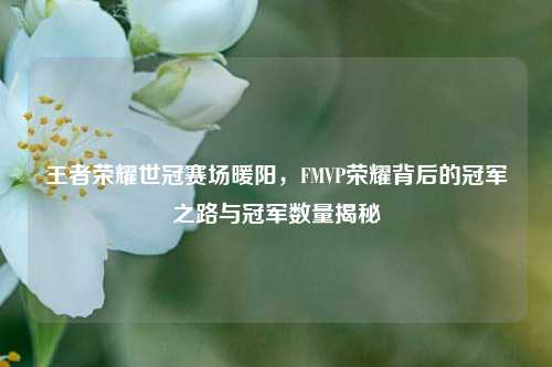 王者荣耀世冠赛场暖阳，FMVP荣耀背后的冠军之路与冠军数量揭秘