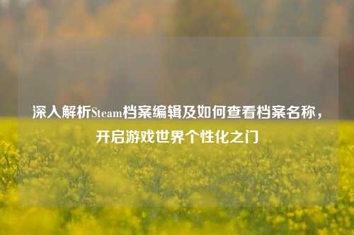 深入解析Steam档案编辑及如何查看档案名称,开启游戏世界个性化之门