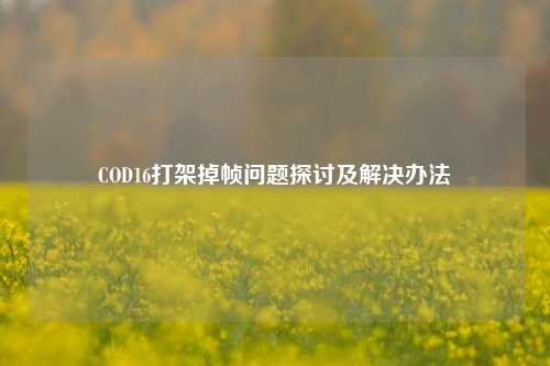 COD16打架掉帧问题探讨及解决办法