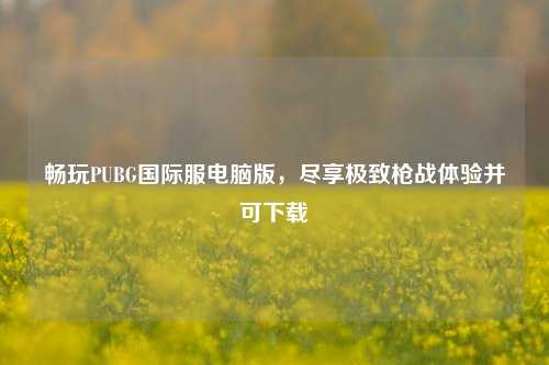 畅玩PUBG国际服电脑版,尽享极致枪战体验并可下载