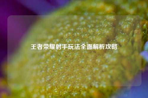 王者荣耀射手玩法全面解析攻略