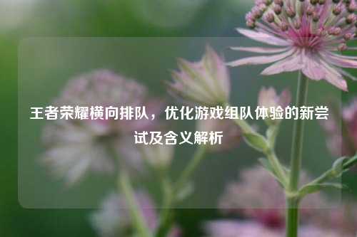王者荣耀横向排队,优化游戏组队体验的新尝试及含义解析