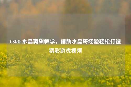 CSGO 水晶剪辑教学，借助水晶哥经验轻松打造精彩游戏视频