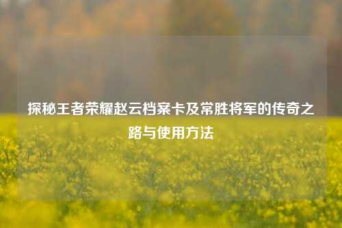 探秘王者荣耀赵云档案卡及常胜将军的传奇之路与使用方法