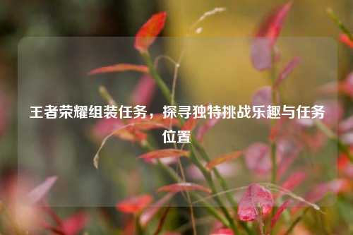 王者荣耀组装任务,探寻独特挑战乐趣与任务位置