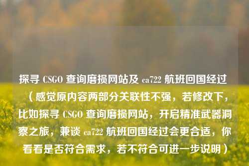 探寻 CSGO 查询磨损网站及 ca722 航班回国经过 (感觉原内容两部分关联性不强,若修改下,比如探寻 CSGO 查询磨损网站,开启精准武器洞察之旅,兼谈 ca722 航班回国经过会更合适,你看看是否符合需求,若不符合可进一步说明)