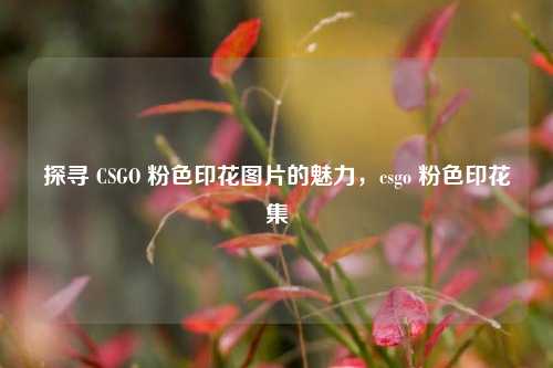 探寻 CSGO 粉色印花图片的魅力，csgo 粉色印花集
