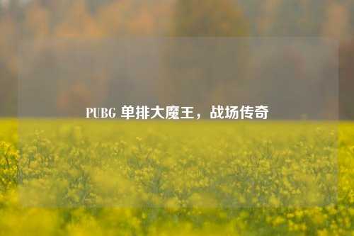 PUBG 单排大魔王,战场传奇