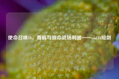 使命召唤16,毒箭与致命战场利器——cod16短剑