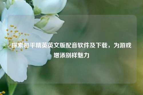 探索和平精英英文版配音软件及下载,为游戏增添别样魅力