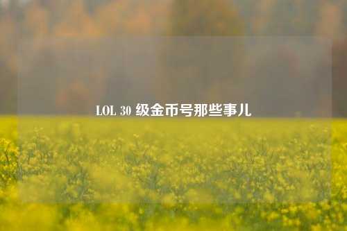 LOL 30 级金币号那些事儿