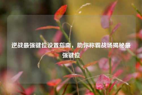 逆战最强键位设置指南,助你称霸战场揭秘最强键位